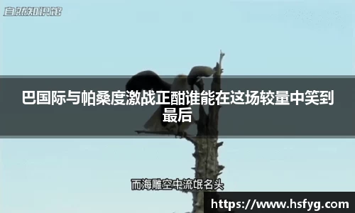彩神彩票vIII
