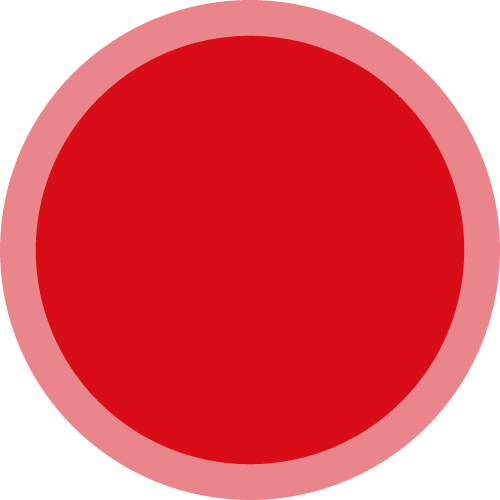 解洪湛